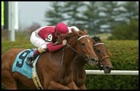 Affluent Rallies to Win Queen Elizabeth II Challenge Cup Affluent Rallies to Win Queen Elizabeth II Challenge Cup