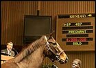 Keeneland November Sale 'Slightly Ahead Of Expectations' After Two Sessions Keeneland November Sale 'Slightly Ahead Of Expectations' After Two Sessions