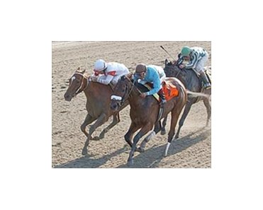 Bird Town, winning the Acorn Stakes.