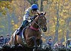 McDynamo Aims for Fifth Breeders' Cup Win McDynamo Aims for Fifth Breeders' Cup Win