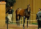 Hip 422; filly; Mushka, Empire Maker - Sluice by Seeking the Gold brought $2.4 million to lead the 2nd day of the 2008 Keeneland November breeding stock sale.