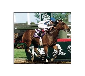 Multiple U.S. champion Paseana has returned to her native Argentina.