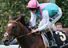 Frankel to Work at Newmarket Sept. 29 Frankel to Work at Newmarket Sept. 29