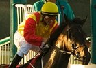 Dozen Fillies to Battle in Oak Tree's Ramser Dozen Fillies to Battle in Oak Tree's Ramser
