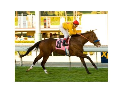 Tuscan Evening got her new year off to a great start when she captured the Monrovia Handicap at Santa Anita.<br><a target="blank" href="http://www.bloodhorse.com/horse-racing/photo-store?ref=http%3A%2F%2Fpictopia.com%2Fperl%2Fgal%3Fprovider_id%3D368%26ptp_photo_id%3D8726957%26ref%3Dstory">Order This Photo</a>