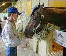 Bailey's Confidence Rewarded With Belmont Victory Bailey's Confidence Rewarded With Belmont Victory