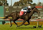 Gozzip Girl makes her first start since winning the American Oaks in the Garden City Stakes.<br><a target="blank" href="http://www.bloodhorse.com/horse-racing/photo-store?ref=http%3A%2F%2Fpictopia.com%2Fperl%2Fgal%3Fprovider_id%3D368%26ptp_photo_id%3D8301301%26ref%3Dstory">Order This Photo</a>