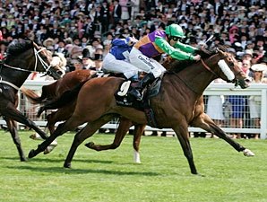 Prohibit Won't be Denied in King's Stand Prohibit Won't be Denied in King's Stand