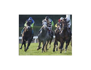 Ocean Drive (blue cap) laps the field at the top of the stretch on the way to a dramatic win in the Noble Damsel.