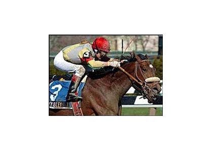 Acey Deucey, ridden by Diane Nelson, captures the Comely Stakes.