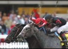 Offlee Wild Start to Derby Chase Offlee Wild Start to Derby Chase