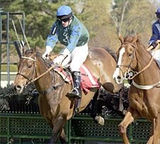 Hirapour May Return for Breeders' Cup 'Chase Hirapour May Return for Breeders' Cup 'Chase