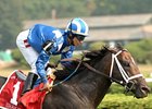 Shakis<br><a target="blank" href="http://www.bloodhorse.com/horse-racing/photo-store?ref=http%3A%2F%2Fpictopia.com%2Fperl%2Fgal%3Fprovider_id%3D368%26ptp_photo_id%3D2122903%26ref%3Dstory">Order This Photo</a>