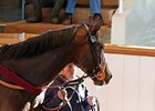 Measuring Time brought 310,000 guineas during the third session of the Tattersalls autumn horses in training sale.