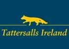 Numbers Down at Tattersalls Ireland Opening Session Numbers Down at Tattersalls Ireland Opening Session