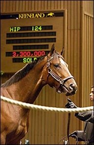 Pulpit colt, sold for Keeneland April record price.