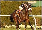 Balto Star, winning the Red Smith Handicap.