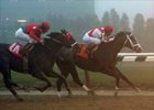 Half Ours, Sold for $6.1 Million, Returns to Winner's Circle Half Ours, Sold for $6.1 Million, Returns to Winner's Circle