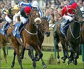 Darley Buys Guineas Winner Refuse To Bend Darley Buys Guineas Winner Refuse To Bend