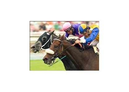 The Tin Man (near) holds off T.H. Approval to win the Clement L. Hirsch Turf Championship for the second time, Saturday at Santa Anita.
