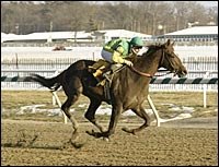 Capac Returns a Winner in Laurel Allowance Capac Returns a Winner in Laurel Allowance
