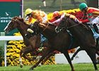 Doctor Dino (center, shadow roll) gets up in a thrilling finish of the Dec. 14 Hong Kong Vase.