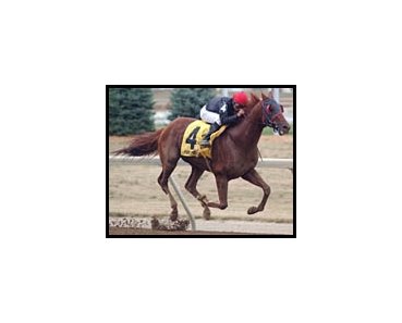 Pure Prize provided jockey Mike Smith with his third stakes victory on the Kentucky Cup card at Turfway Park.