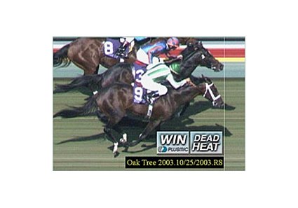 Johar, 9, and High Chaparral, finish in a dead heat in the Breeders' Cup Turf at the World Thoroughbred Championships at Santa Anita Park.