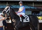 Lauburu after his debut win at Aqueduct.
