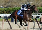 Arena Elvira powers home to win the notched Turnback the Alarm Handicap.<br><a target="blank" href="http://www.bloodhorse.com/horse-racing/photo-store?ref=http%3A%2F%2Fpictopia.com%2Fperl%2Fgal%3Fprovider_id%3D368%26ptp_photo_id%3D9728622%26ref%3Dstory">Order This Photo</a>