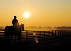 Three Chimneys Employees Helped Save Horses Three Chimneys Employees Helped Save Horses