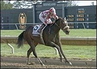 Ema Bovary Wins 9th Straight in Keeneland's Madison Ema Bovary Wins 9th Straight in Keeneland's Madison