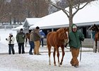 Missvinski Brings $400,000 at Keeneland Missvinski Brings $400,000 at Keeneland
