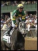 Proper Gamble Takes Beaumont Stakes By Slim Nose Proper Gamble Takes Beaumont Stakes By Slim Nose