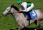 Champion Forever Together will try to extend her winning streak in the Just a Game.<br><a target="blank" href="http://www.bloodhorse.com/horse-racing/photo-store?ref=http%3A%2F%2Fpictopia.com%2Fperl%2Fgal%3Fprovider_id%3D368%26ptp_photo_id%3D8000016%26ref%3Dstory">Order This Photo</a>