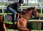 Rosenblum, LaPenta Hope to Get Far Right Home Rosenblum, LaPenta Hope to Get Far Right Home
