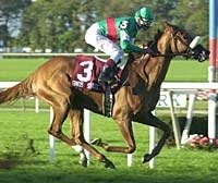 Gino's Spirits Tops Noble Damsel Gino's Spirits Tops Noble Damsel