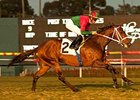 Jeranimo and Garrett Gomez take the Citation at Hollywood Park.