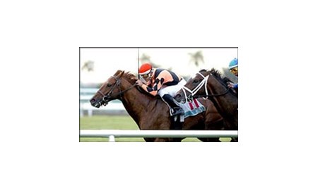 Host, with Javier Castellano riding, wins the Mac Diarmida Handicap over Navesink River.