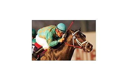 Dubleo wins the Generous Stakes.