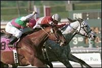 Beautiful Noise Earns First Stakes Win in Santa Ana Beautiful Noise Earns First Stakes Win in Santa Ana