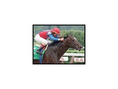 Medaglia d'Oro, winning the Travers.