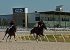 Ocala Industry May Seek Racing Permit Ocala Industry May Seek Racing Permit
