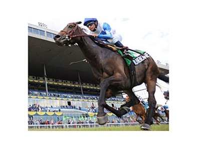 Rutherienne goes over the $1 million mark in earnings in the Nassau Stakes.
