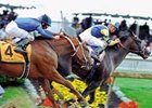 Steve Haskin's Preakness Wrapup: Final Thoughts Steve Haskin's Preakness Wrapup: Final Thoughts