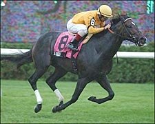 Stroll Strolls His Way to Hall of Fame Stakes Win Stroll Strolls His Way to Hall of Fame Stakes Win