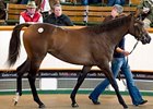 Another Galileo Filly Shines at Tattersalls Another Galileo Filly Shines at Tattersalls