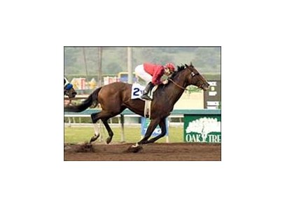 McCann's Mojave wins the California Cup Classic on the final day of the 2005 Oak Tree at Santa Anita.