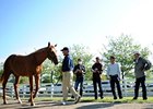 Keeneland September Sale