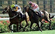 Hong Kong Jockey Club Fines Jockey Childs Hong Kong Jockey Club Fines Jockey Childs